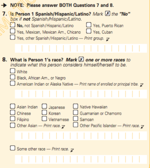 2000 U.S. Census Race Section